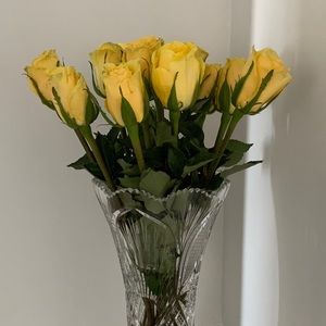 Meet your Posher, Julie